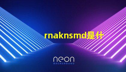 rnaknsmd是什么牌子衣服 Rnaknsmd什么意思